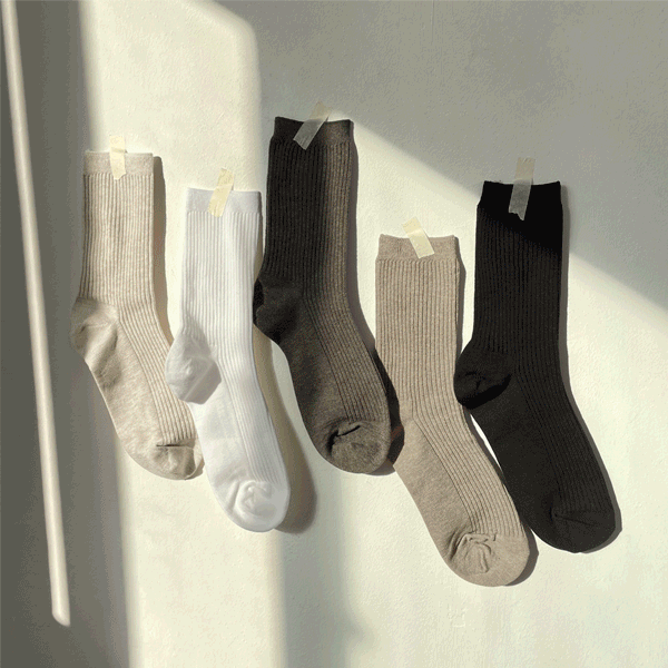 THEXXXY - 더엑스, Solid Daily Socks (5color) #1186