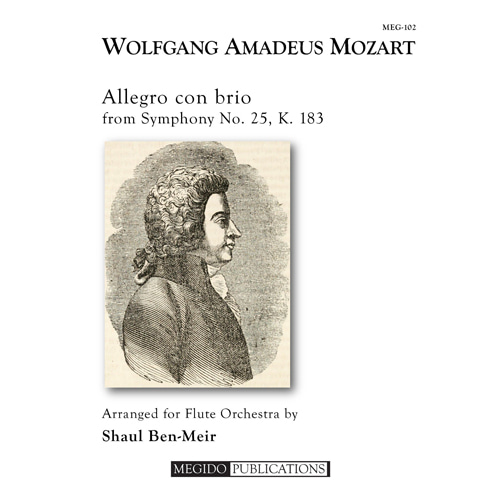 모차르트 (arr. Ben-Meir) - Allegro con brio from Symphony No. 25 (플룻 콰이어)