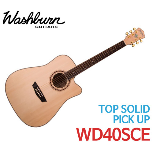 워시번 어쿠스틱 기타 WD40SCE - 기타렌탈, 기타대여
