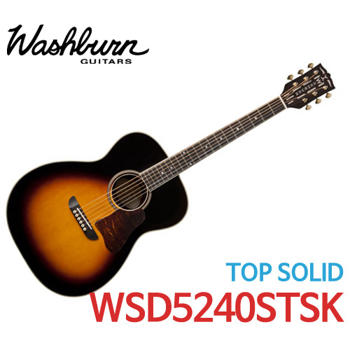 워시번 솔로 디럭스 워렌 헤인즈 시그네처 어쿠스틱 기타 WSD5240STSK - 기타렌탈, 기타대여