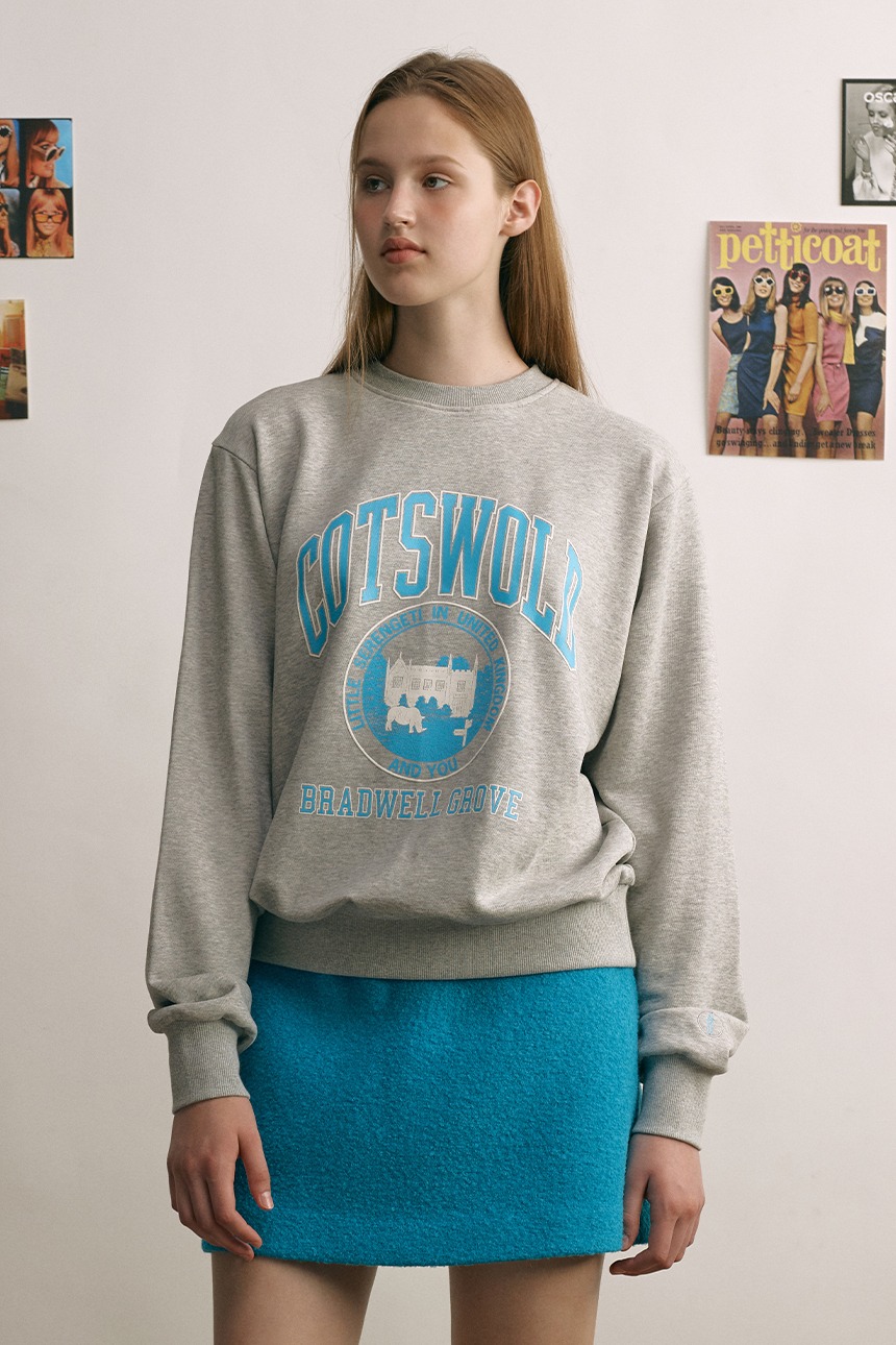 COTSWOLD City artwork sweatshirt (Gray)