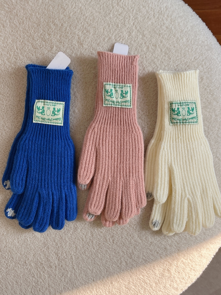 Pastel Knitwear Smartphone Touch Wrist Long Gloves