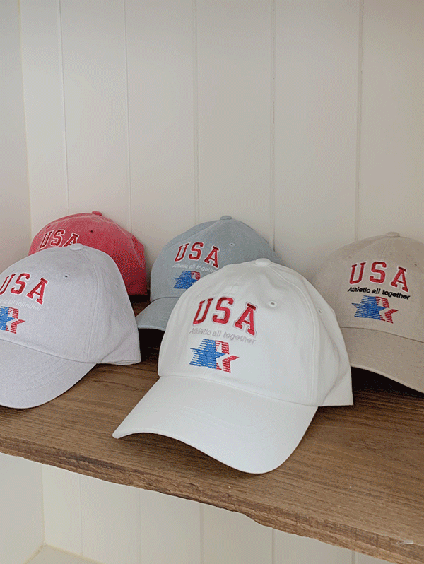 피그먼트 USA ball cap - 5 color - 슬로우앤드
