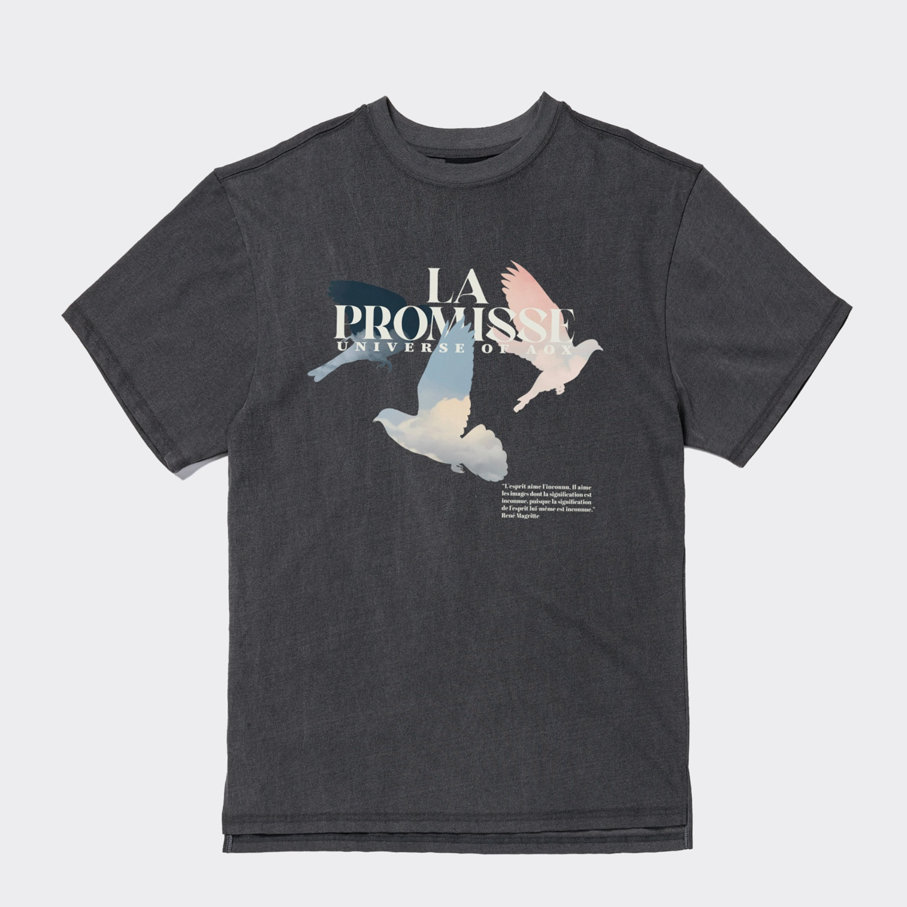 Promise Pigmented T-shirt (Gray)