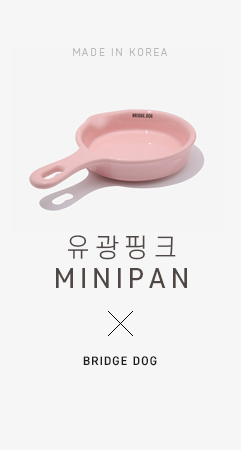 브릿지독
