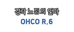 오코 R6