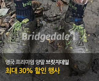 브릿지데일