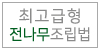 전나무우산형