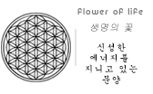 생명의꽃