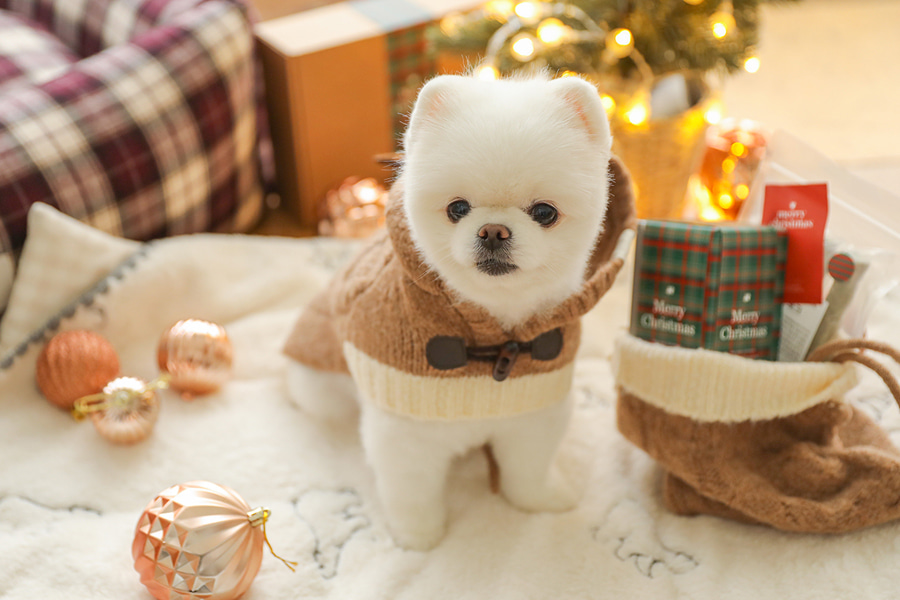christmas knit poncho (beige)