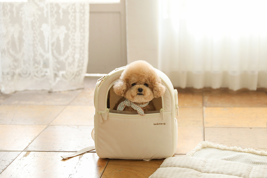 ba&ttang ソフトカーブバックパック Lサイズ ベージュ outdoor goods - BA&TTANG