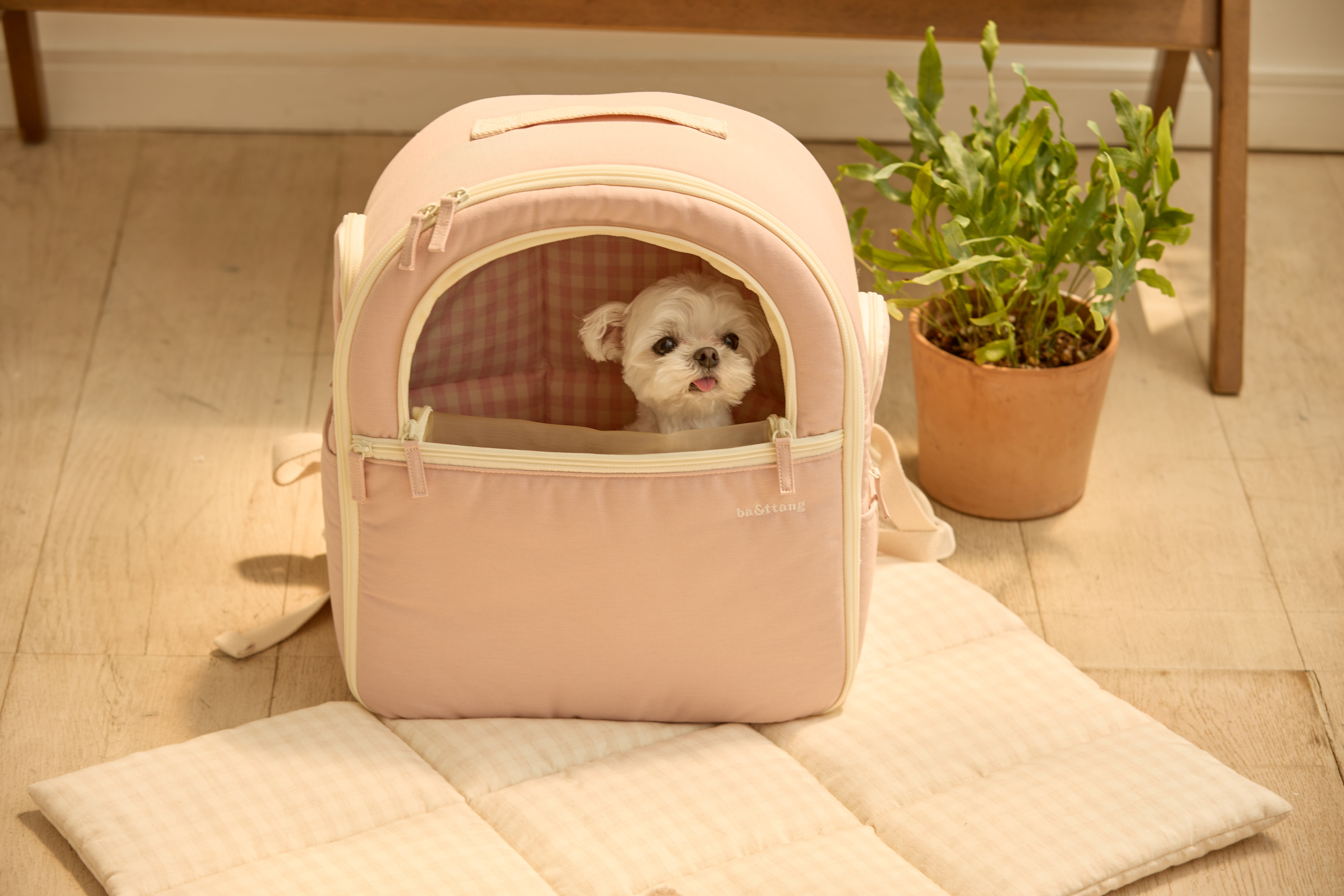 ba&ttang ソフトカーブバックパック Lサイズ ベージュ outdoor goods - BA&TTANG