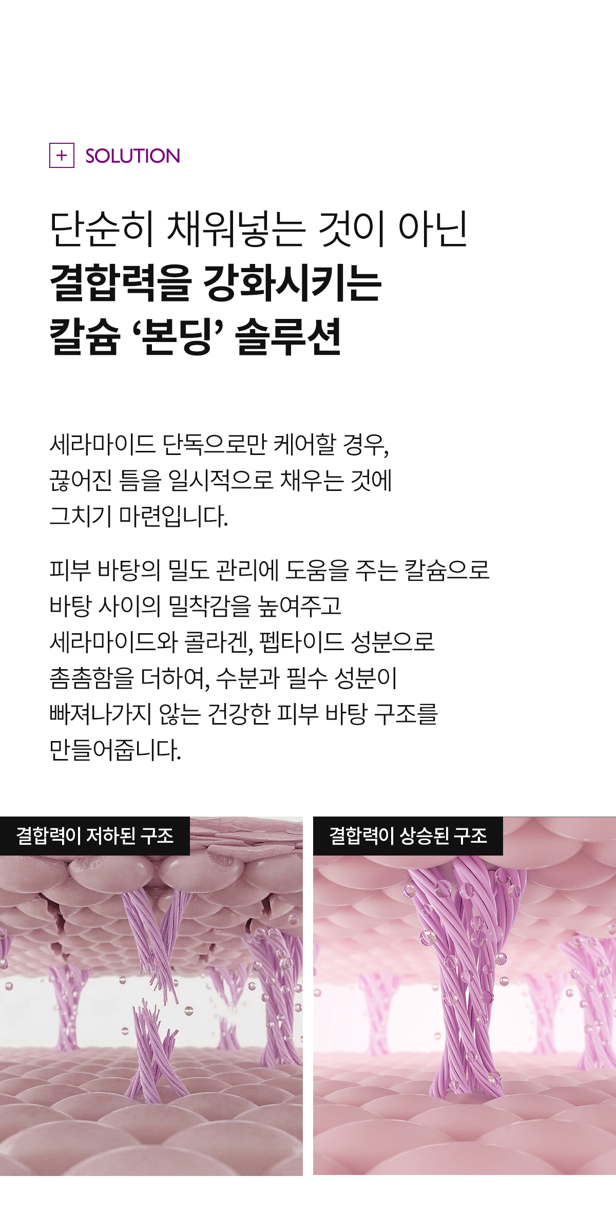 DR.MELAXIN Calcium Bonding Barrier Toner - description 11