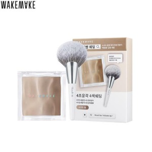 WAKEMAKE Mix Blurring Volume Shading With Fillimilli Portable Fan Brush 855 Special 2items