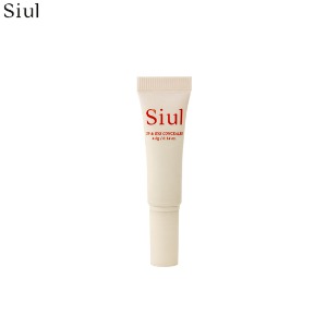 SIUL Lip &amp; Eye Stable Concealer 4g