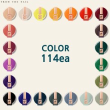 FROM THE NAIL Color Promotion 114 Set 119items