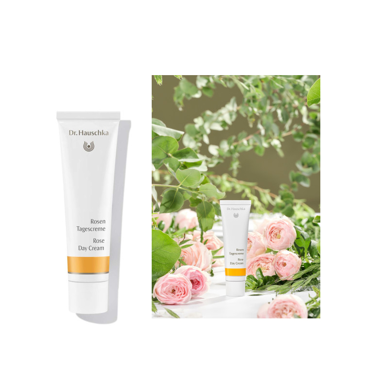 DR.HAUSCHKA Rose Day Cream 30ml | Best Price and Fast Shipping from Beauty  Box Korea