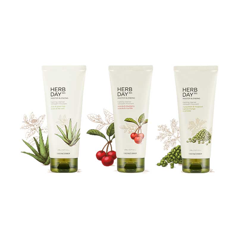 Own label brand, [THE_FACE_SHOP] Herb Day 365 Master Blending Foam Cleanser 170ml 3 Type (Weight : 213g)