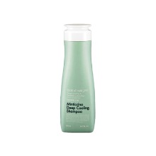 Own label brand, [DAENG GI MEO RI] Look At Hair Loss Minticcino Deep Cooling Shampoo 500ml (Weight : 614g)