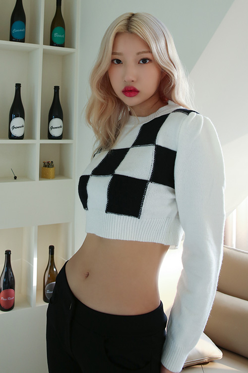 Checkered Cropped Knit