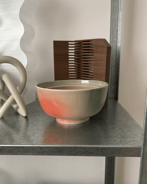 [한정수량] Gradation bowl