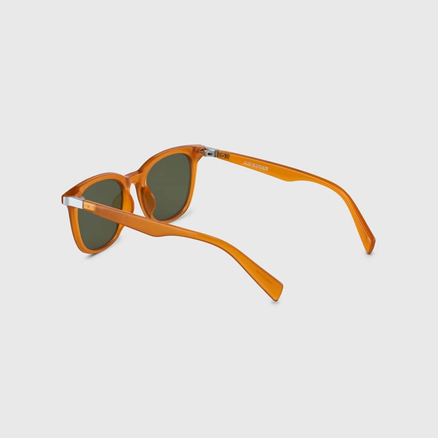 ●BLUE ELEPHANT● GARDEN pumpkin 5005053985 Blue Elephant Sunglass Garden Pumpkin | TikTok