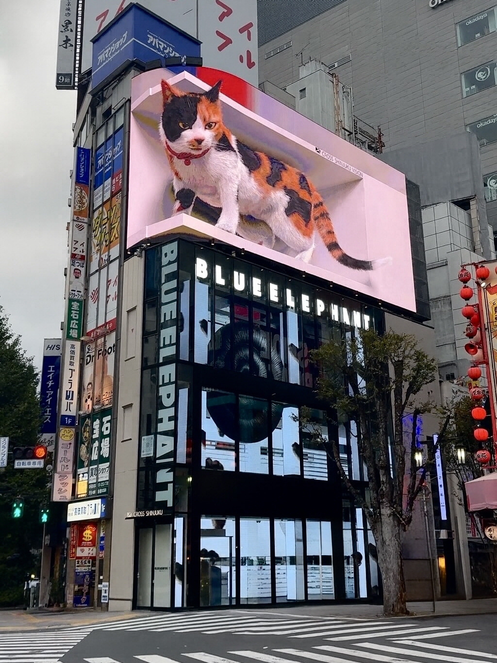 ブルー エレファント 東京