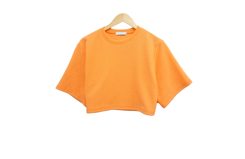 半袖Tシャツ マスタード 商品カラー画像-S1L12