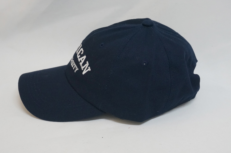 帽子 チャコール 商品カラー画像-S1L34