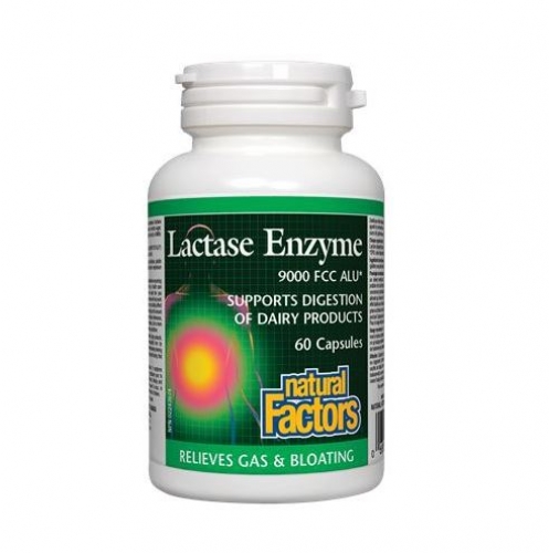 Natural Factors 내추럴 팩터스 - Lactase Enzyme 락타아제엔자임 60caps