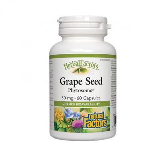 Natural Factors 내추럴 팩터스 - Grape Seed Phytosome (포도씨 추출물) 60caps