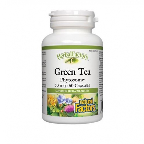 Natural Factors 내추럴 팩터스 - Green Tea Phytosome (차나무) 300mg 60caps