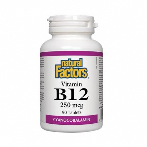 Natural Factors 내추럴 팩터스 - Vitamin B12 (신경손상방지) 250mcg 90tabs