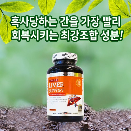 ★PNC 피엔씨 - 리버서포트 캐나다 간 영양제 120정 밀크씨슬 피로회복