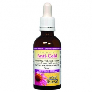 Natural Factors 내추럴 팩터스 - Anti-Cold Alcohol Free Herb Tincture (Natural Berry)  안티 콜드 알코올프리 팅크 (네츄럴 베리) 50ml