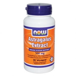 Now Foods -Astragalus Extract -90vcaps - 나우 푸드 - 황기 추출물  -90 베지 캡슐
