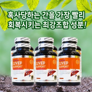 ★6병세트특가 PNC 피엔씨 - 리버서포트 캐나다 간 영양제 120정 밀크씨슬 피로회복