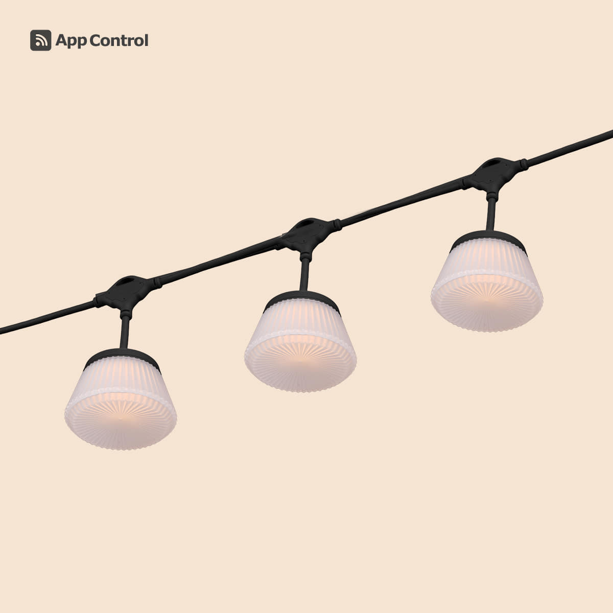 CC] SHINE STRING LIGHT 7 - CARGO CONTAINER