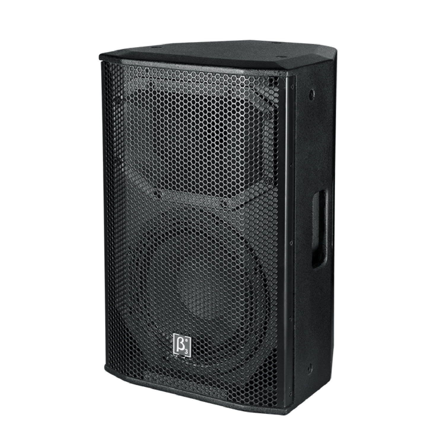 10 Inches 550W Two Way Full Range Active Speaker   TW10A beta three