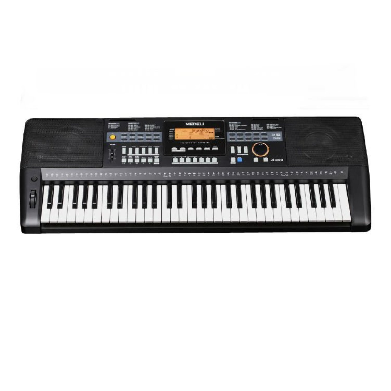 61 Keys with Touch Response 583 Voices; 10 User, 230 Styles; 5 User, 60 Songs 2 Demo Songs, 64 Note Polyphony Aux Out, MIDI, USB Port   A800 medeli