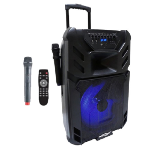 15 Inches 500W Powered Portable Trolley Speaker with 2 Wireless Mic (1pc)   PA 15 konzert