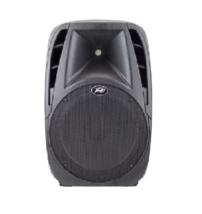 Trolley Speaker Portable PA System with Built in Dual Wireless Microphone, PBK 15 FM