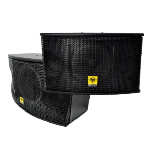 Kevler KV 350 8 Inches 250W 8 Ohms 2-Way Karaoke Speaker