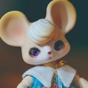 Limited Pet - COCORIANG