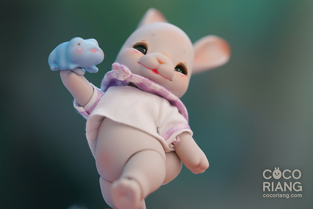 Gray Tobi - COCORIANG