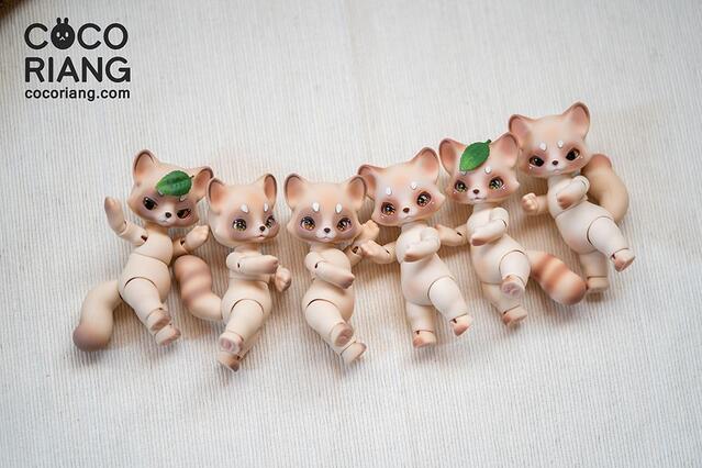 Pocha Full set - COCORIANG