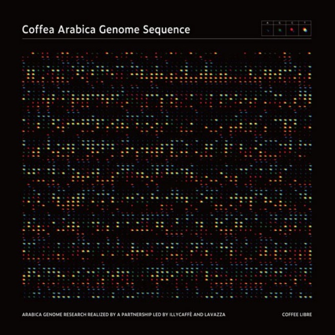 아라비카 커피 DNA 포스터