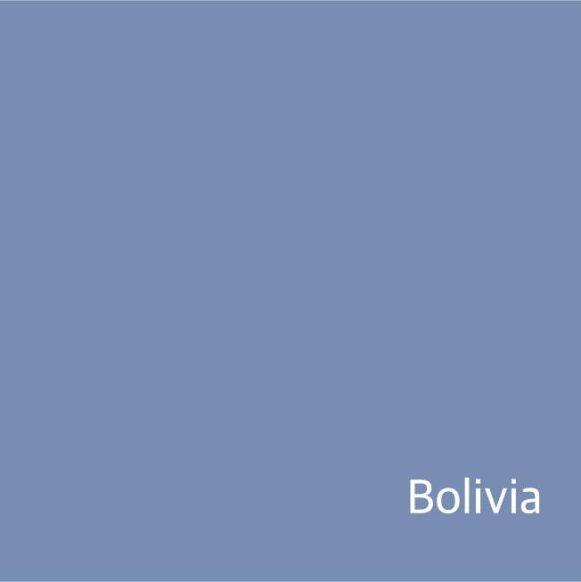 [New Crop / 생두] 볼리비아  솔 데 라 마냐나