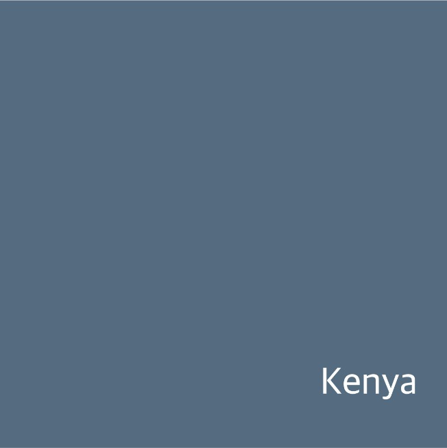 [New Crop / 생두] 케냐 가탕가리리 AA