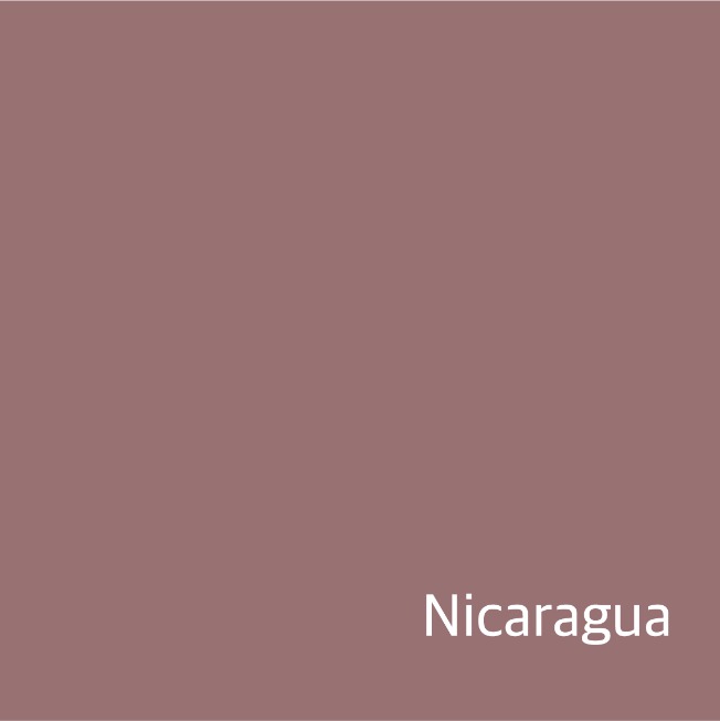 [New Crop / 생두] 니카라과  라 벤디시온 2023